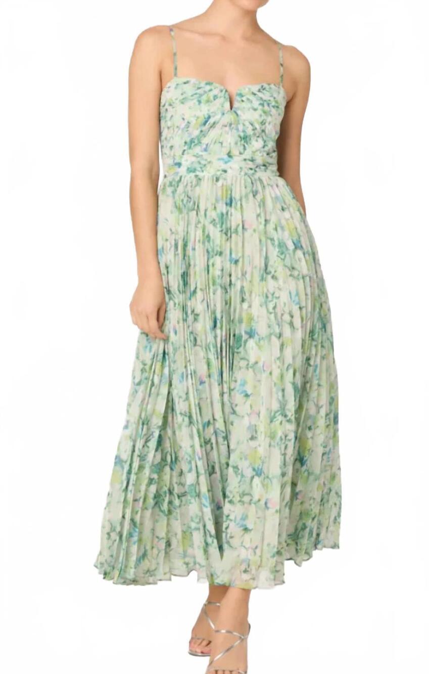 NEW ASTR bayley maxi dress in green floral
